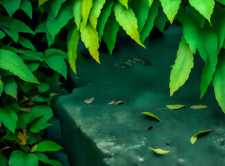 Green Leaves and Stone Platforms can be used for display or montage your products.