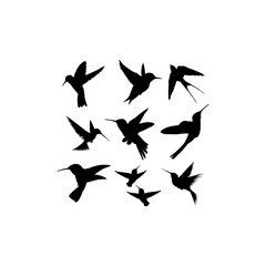 Fototapeta na wymiar Hummingbird silhouette icon collection design