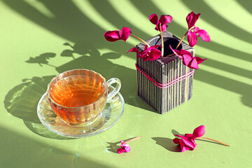 Spring mood: a cup of tea with a bouquet of cyclamens on a pastel background, shadows from objects