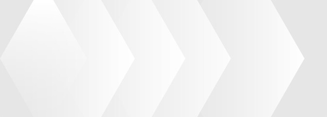 white premium background design with diagonal soft gray line pattern template for digital lux business banner contemporary formal invitation luxury voucher prestigious gift certificate