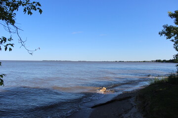 beach and trees in the morning