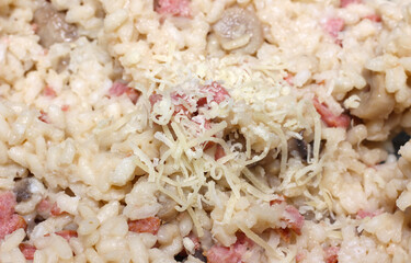 blumenau sausage risotto with mushrooms and cheese. rice with sausage and mushroom. risotto texture. meal details.