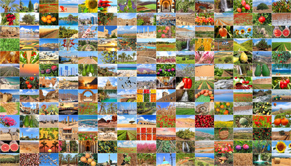 Fototapeta na wymiar Israel. A country of three religions, nature and agriculture, sea and desert. Collage of our photos