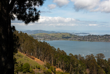 San Francisco Bay viewed from Morning sun trail on a mostly sunny blue sky day, Sausalito, CA, USA
