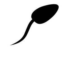 Sperm Reproduuction Vector