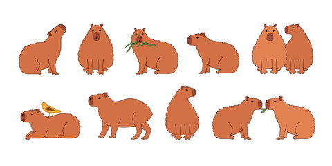 Capybara characters set. Cute cartoon animals in cartoon style