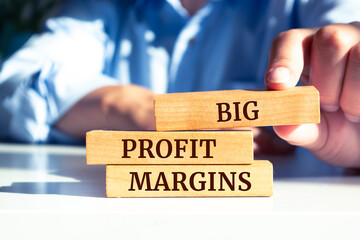 Wooden blocks with words 'Big Profit Margins'. Business concept