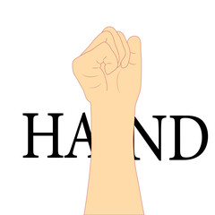 hand and word