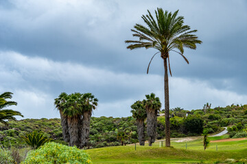 Impressionen von der Küste bei Buenavista del Norte auf der Kanareninsel Teneriffa.