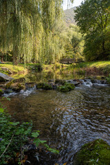 Fototapeta na wymiar River rock in green forest on summertime nature. River flows over rocks through the woods. 