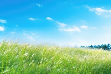 Fototapeta na wymiar serene grassy field with a clear blue sky. Generative AI