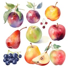 collection of pretty delicate watercolor fruits on  white background, Generate Ai