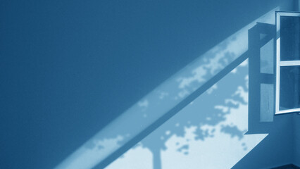 Light and Shadow Coming in Through Window features a room with blue walls and light slanting in from a side window casting the shadow of a tree on the wall.