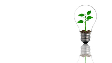 Light Bulb Plant features a light bulb on a white reflective surface with dirt in it and then a plant growing inside the light bulb.