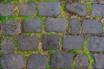 Fondo de adoquín mosaico de rocas gris con césped verde