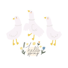hello spring. Cartoon birds, flowers,  hand drawing lettering. colorful spring vector illustration, flat style. design for print, greeting card, poster decoration, cover