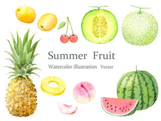水彩で描いた夏のフルーツのベクターイラストセット