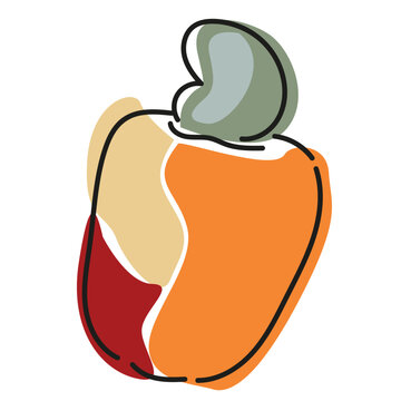 Caju, Frutas regionais, Cuiab&radic;&deg;, Cerrado, &radic;&Aring;rvore frut&radic;&ne;fera