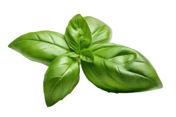 Foto op Canvas basil isolated on transparent background, generative ai © Perfect PNG