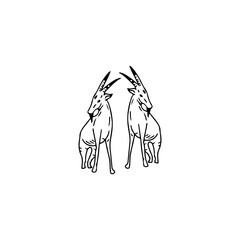 vector illustration of two sheep