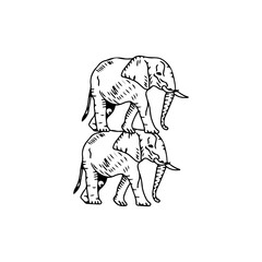 vector illustration of two elephants