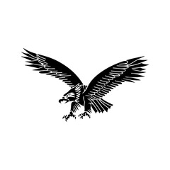 vector illustration of an eagle bird silhouette