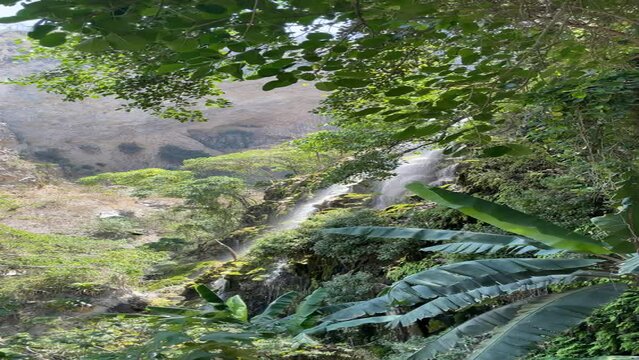 Hermosa cascada rodeada de mucha vegetaci&oacute;n