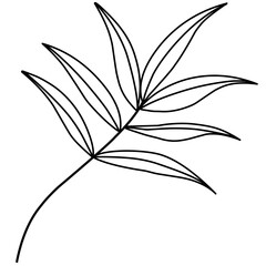 Fototapeta na wymiar Leaf Branch Doodle 