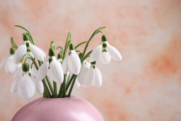 Beautiful snowdrops in vase on color background, closeup