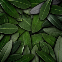 Many fresh green leaves as textured background