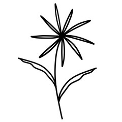 Flower Doodle Vector Illustration 