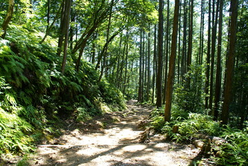 熊野古道・中辺路