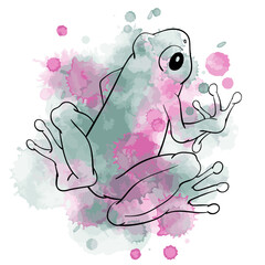 Vector illustration of black contour frog on watercolor spots background