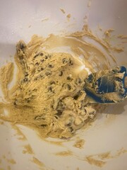 Chocolate Chip Cookie Dough