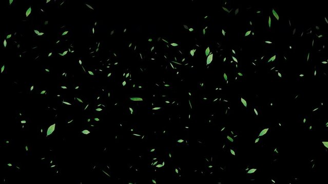 お茶の葉が風に舞い落ちる背景アニメーション（背景透過）