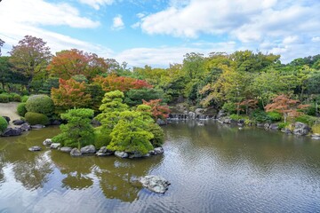 色づき始めたモミジの紅葉と滝のコラボ情景＠大阪