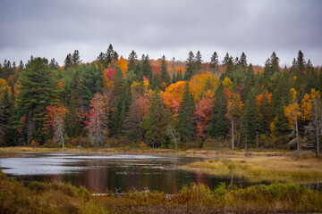 Algonquin Provincial Park Fall Colours