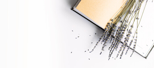 Dried lavender flowers in open empty notebook on white.