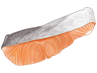 塩鮭の切り身のリアルなテイストの美味しそうなイラスト