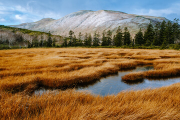 北海道ニセコ秋の風景