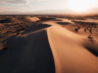 Fototapeta na wymiar sunset and dunes in the desert