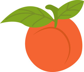 peach illustration