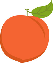 peach illustration