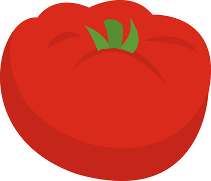 Red Tomatoes Illustration