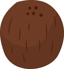 Coconut Illustration
