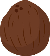 Coconut Illustration