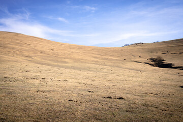 landscape of a large meadow with a blue sky