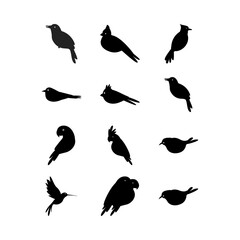 set of silhouette black bird vector illustration