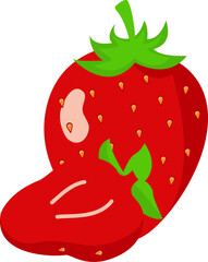 Illustration of Strawberry