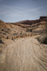 Fototapeta na wymiar Sandy wash through desert terrain in spring in central Utah near Goblin Valley 